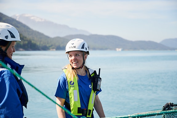 Bilde 2 av 5 i jobbannonse-galleriet