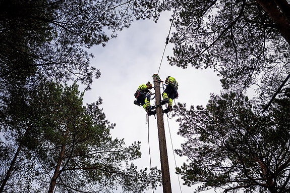Bilde 5 av 6 i jobbannonse-galleriet