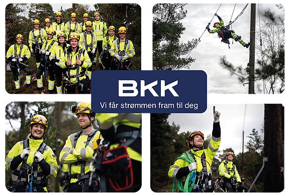 Bilde 1 av 6 i jobbannonse-galleriet