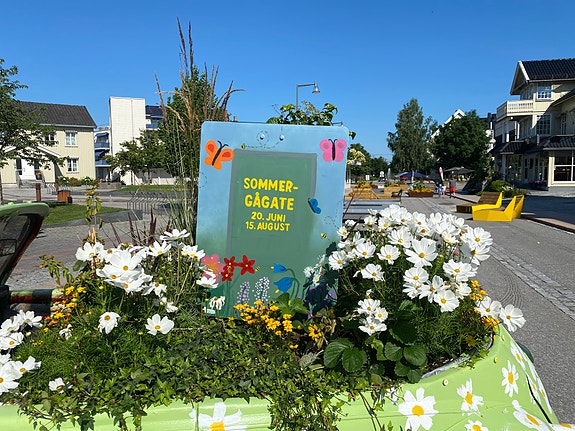 Bilde 1 av 3 i jobbannonse-galleriet