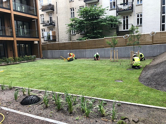 Bilde 2 av 6 i jobbannonse-galleriet