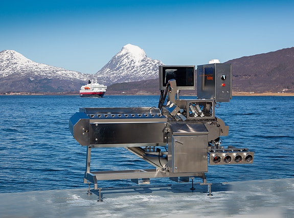 Bilde 1 av 2 i jobbannonse-galleriet