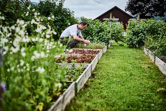 Bilde 7 av 7 i jobbannonse-galleriet