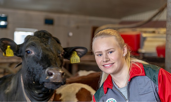 Bilde 2 av 3 i jobbannonse-galleriet