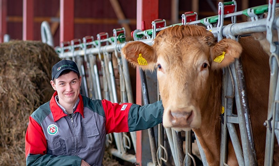 Bilde 1 av 3 i jobbannonse-galleriet