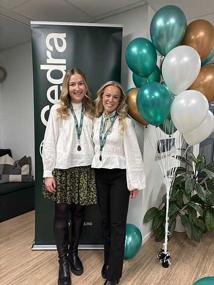 Bilde 5 av 5 i jobbannonse-galleriet