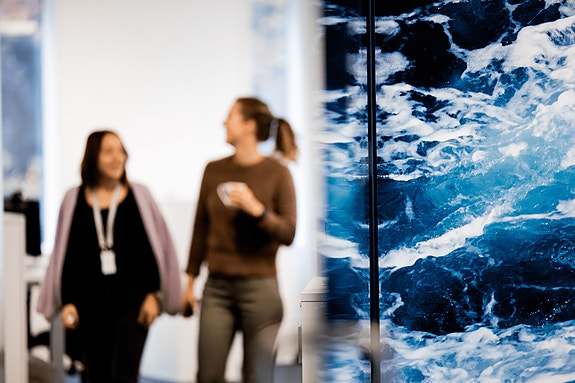 Bilde 1 av 1 i jobbannonse-galleriet