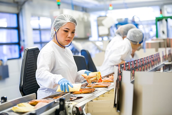 Bilde 2 av 6 i jobbannonse-galleriet