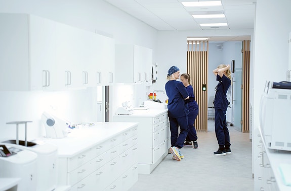 Bilde 2 av 2 i jobbannonse-galleriet