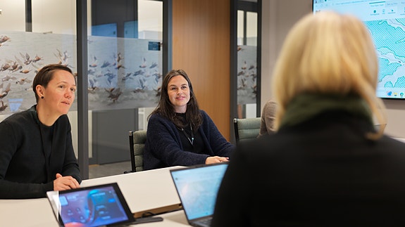 Bilde 1 av 2 i jobbannonse-galleriet