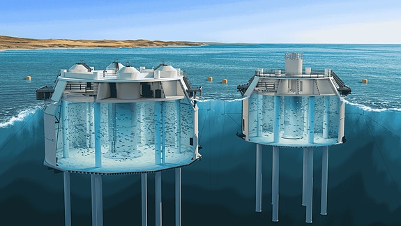 Bilde 1 av 3 i jobbannonse-galleriet