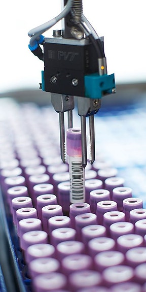 Bilde 3 av 3 i jobbannonse-galleriet