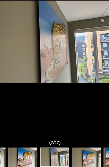 Product image 4 of 8