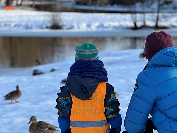 Bilde 2 av 7 i jobbannonse-galleriet