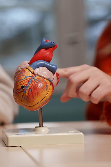 Bilde 9 av 10 i jobbannonse-galleriet