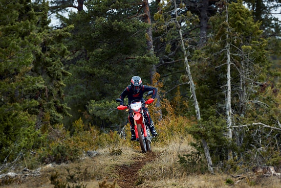 Honda CRF300L 7 of 11