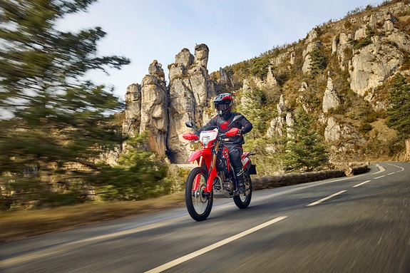 Honda CRF300L 10 of 11