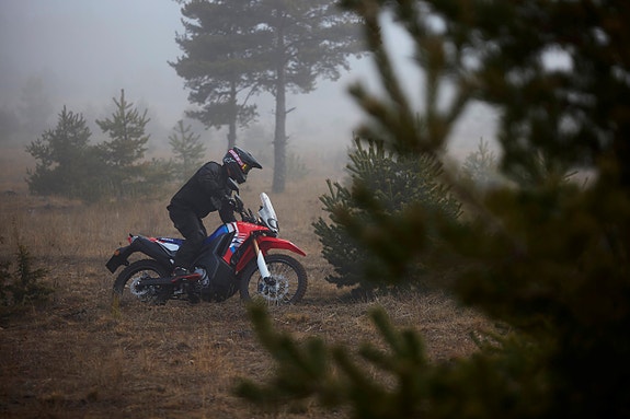 Honda CRF300L Rally 7 of 10