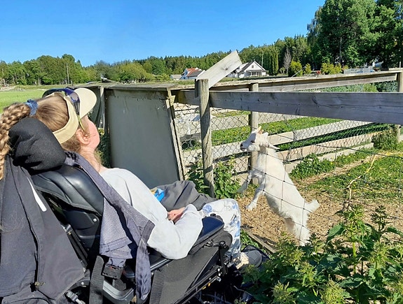 Bilde 1 av 1 i jobbannonse-galleriet