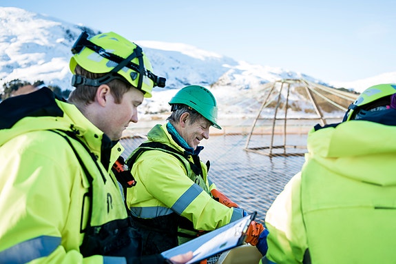 Bilde 3 av 3 i jobbannonse-galleriet