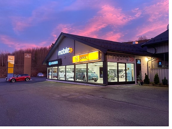 Bilde 1 av 1 i jobbannonse-galleriet