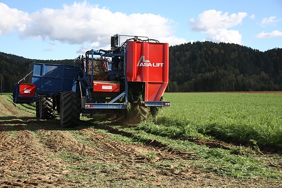 Innhøsting av lokale råvarer