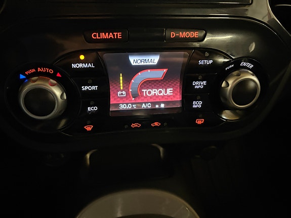 Nissan Juke 13 of 24