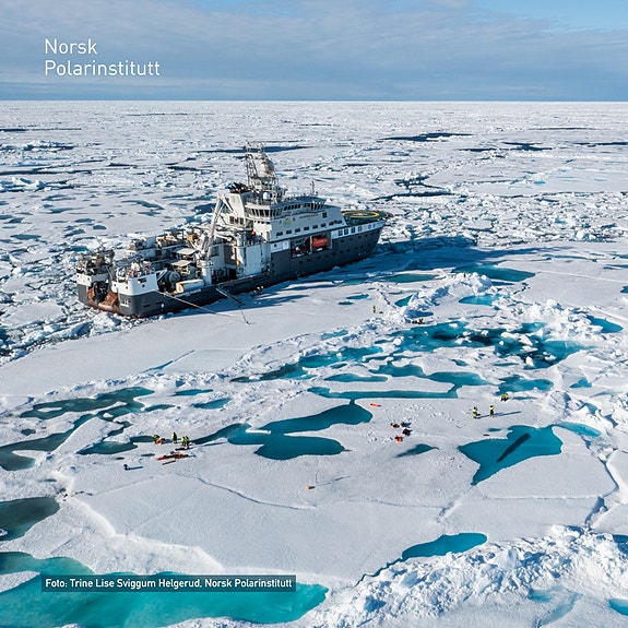 Bilde 4 av 4 i jobbannonse-galleriet