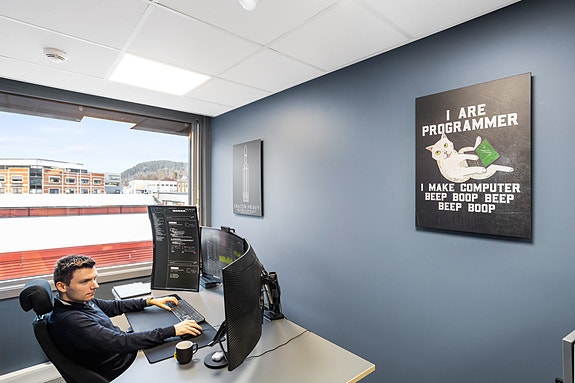 Bilde 5 av 8 i jobbannonse-galleriet