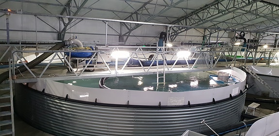 Bilde 3 av 4 i jobbannonse-galleriet