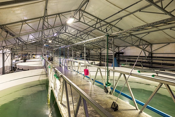 Bilde 2 av 4 i jobbannonse-galleriet