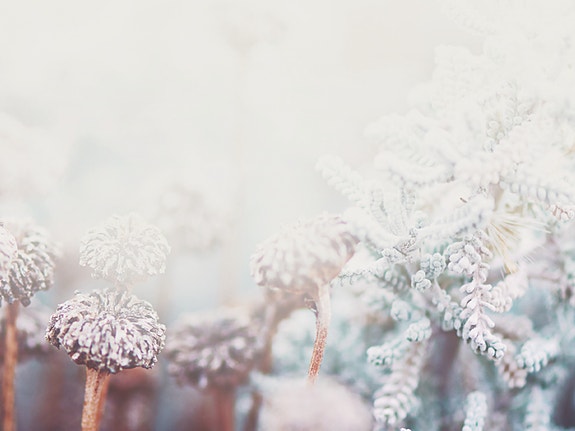 Bilde 1 av 1 i jobbannonse-galleriet