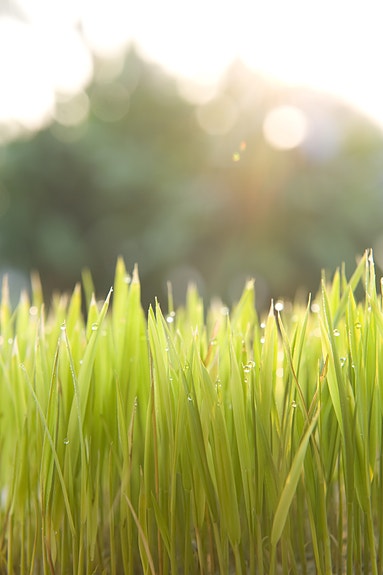 Bilde 4 av 4 i jobbannonse-galleriet