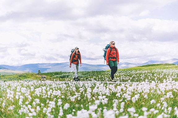 Bilde 1 av 3 i jobbannonse-galleriet