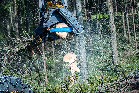 Bilde 4 av 6 i jobbannonse-galleriet