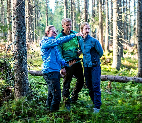 Bilde 3 av 6 i jobbannonse-galleriet