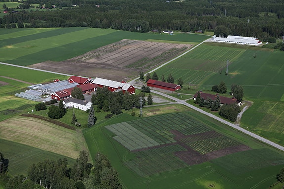 Bjørke Forsøksgård, Ridabu