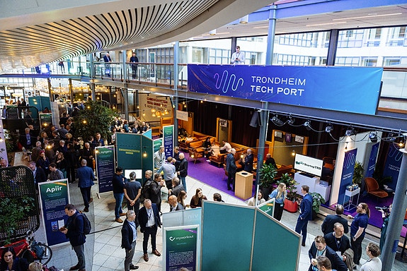 Bilde 1 av 9 i jobbannonse-galleriet