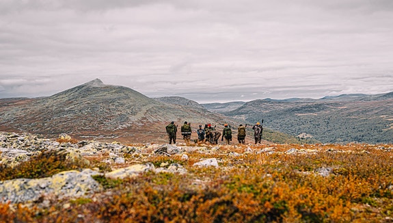 Bilde 2 av 3 i jobbannonse-galleriet