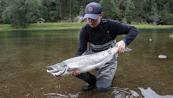 Bilde 1 av 3 i jobbannonse-galleriet