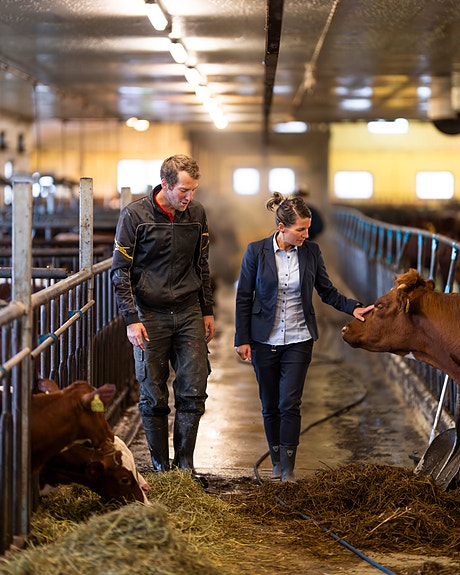 Bilde 2 av 6 i jobbannonse-galleriet