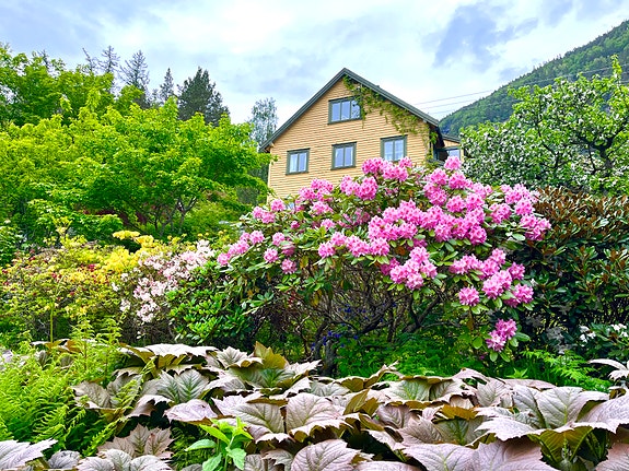 Bilde 1 av 3 i jobbannonse-galleriet