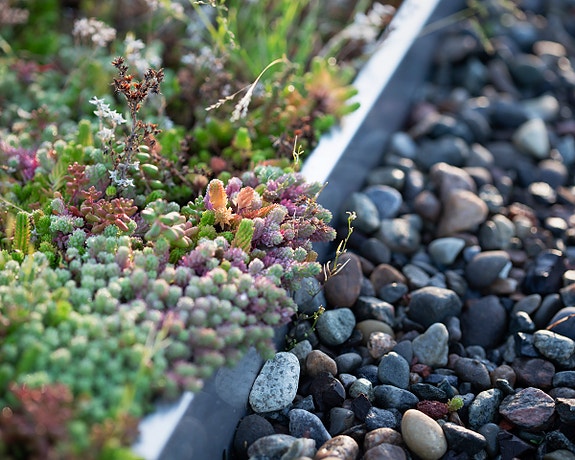 Bilde 1 av 1 i jobbannonse-galleriet