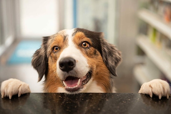 Bilde 1 av 1 i jobbannonse-galleriet