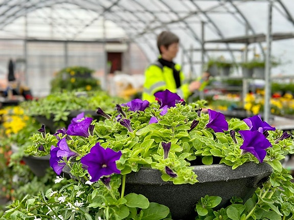 Bilde 3 av 4 i jobbannonse-galleriet