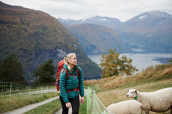 Bilde 2 av 3 i jobbannonse-galleriet