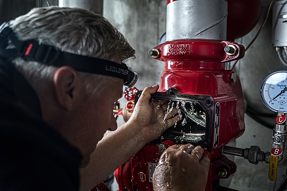 Bilde 1 av 3 i jobbannonse-galleriet