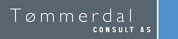 Tømmerdal Consult AS logo