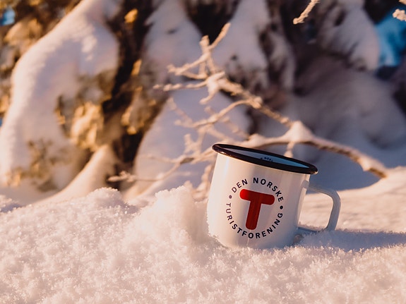 Bilde 1 av 1 i jobbannonse-galleriet