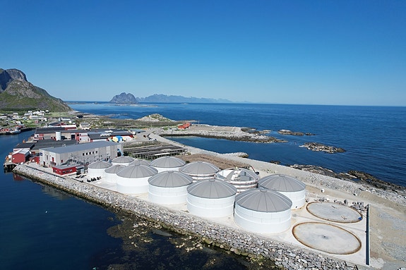 Bilde 6 av 8 i jobbannonse-galleriet